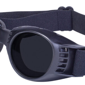 goggles that accommodate prescription lenses