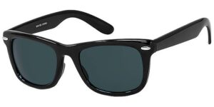 Soul Man Blues Brothers Shades